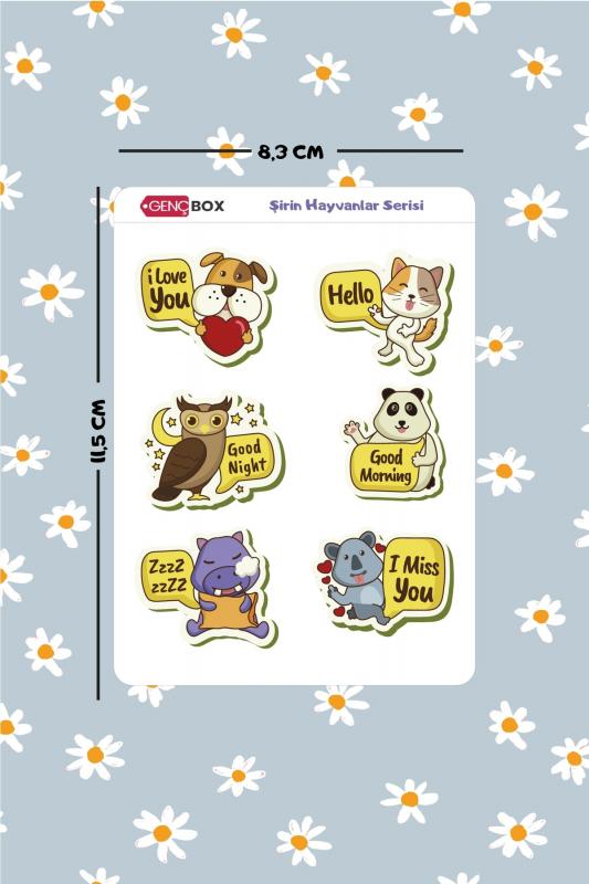 Genç Box Uzay Ve Hayvan Temalı Ikili Sticker Seti